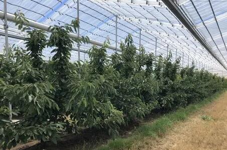 ���弯��ˮ�ѡ�����ˮ��һ�廯�����������������ˮ��Ҫ��