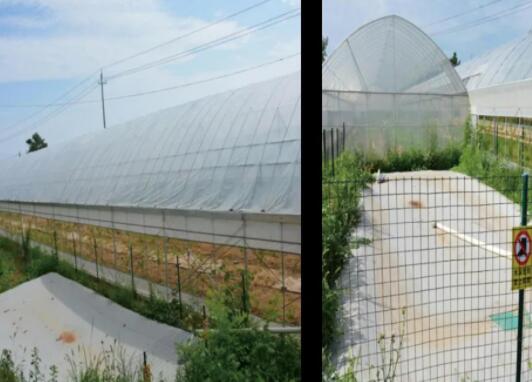 �������ƹ����弯��ˮˮ��һ�廯��������������������ˮ������