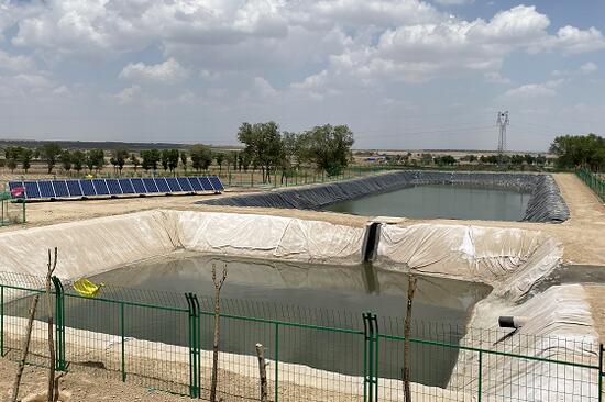 �����ص��ƽ�����ˮ������������������ɺ�����