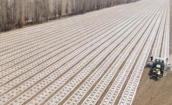 ��������ʵ���ǻ�ũҵ���̺͡�������+���ִ�ũҵ�ж�