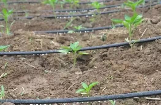 ˮ��һ�廯�Զ�����ϵͳ��������������ũ��������о�׼ˮ��