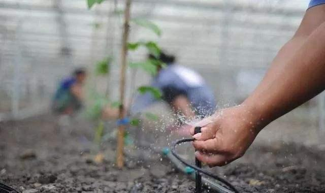 JDB����(�й���)���ٷ���վ