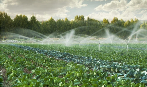 JDB����(�й���)���ٷ���վ