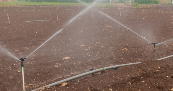 JDB����(�й���)���ٷ���վ