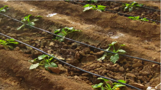 JDB����(�й���)���ٷ���վ