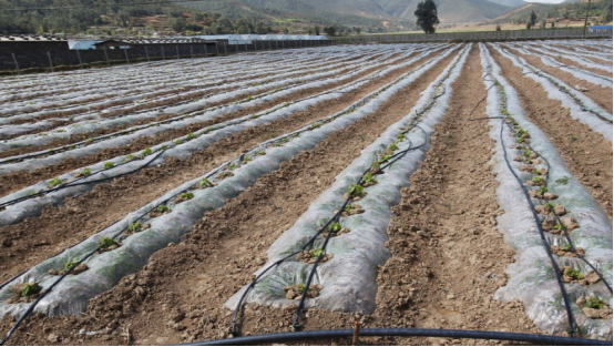 JDB����(�й���)���ٷ���վ