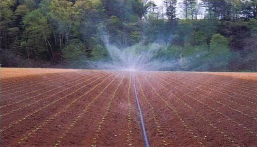 JDBµç×Ó(ÖйúÇø)¡¤¹Ù·½ÍøÕ¾