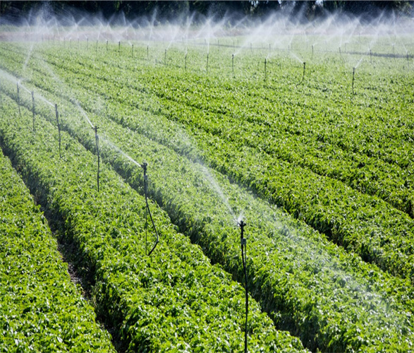 JDB����(�й���)���ٷ���վ