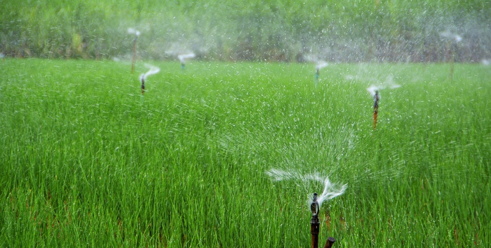 JDB����(�й���)���ٷ���վ