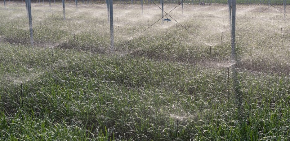 JDB����(�й���)���ٷ���վ