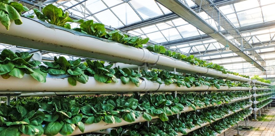 JDB����(�й���)���ٷ���վ