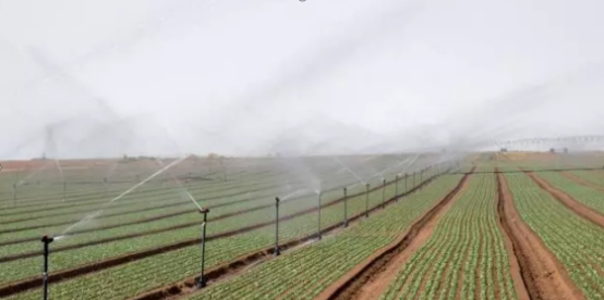 JDB����(�й���)���ٷ���վ