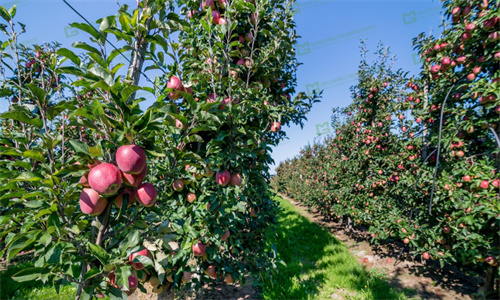 JDB����(�й���)���ٷ���վ