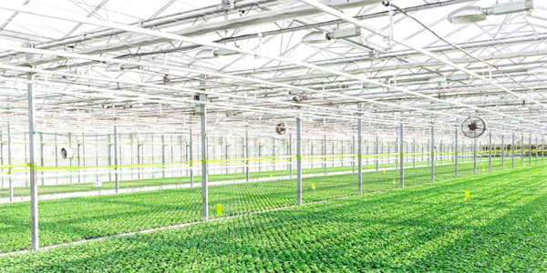 JDB����(�й���)���ٷ���վ