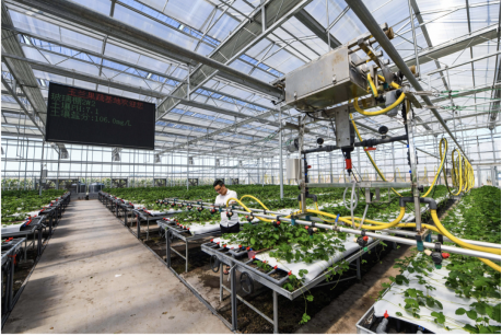 JDB����(�й���)���ٷ���վ