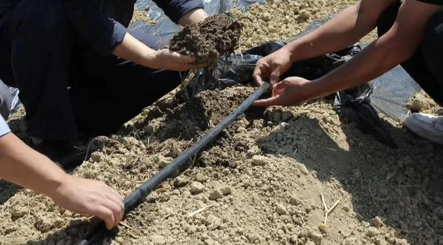 JDB����(�й���)���ٷ���վ