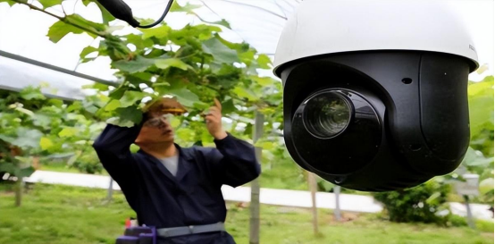 JDB����(�й���)���ٷ���վ