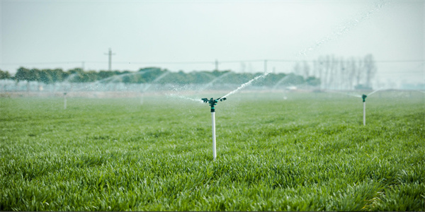 JDB����(�й���)���ٷ���վ