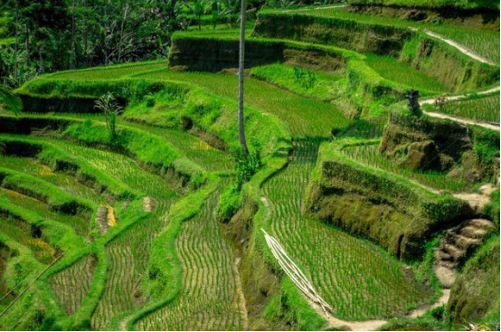 JDB����(�й���)���ٷ���վ