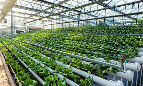 JDBµç×Ó(ÖйúÇø)¡¤¹Ù·½ÍøÕ¾