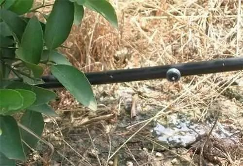 JDB����(�й���)���ٷ���վ