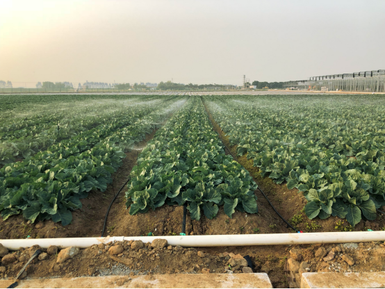 JDB����(�й���)���ٷ���վ