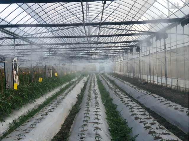 JDB����(�й���)���ٷ���վ