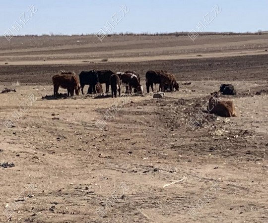 JDB����(�й���)���ٷ���վ