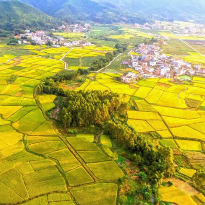 JDB����(�й���)���ٷ���վ