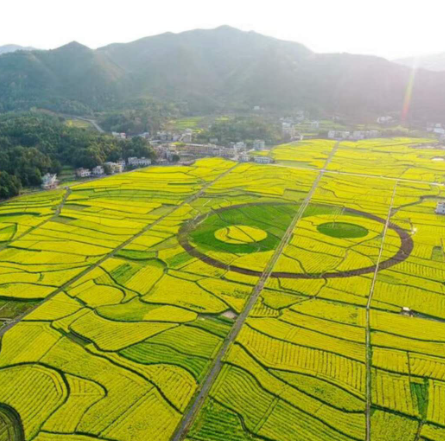 JDB����(�й���)���ٷ���վ