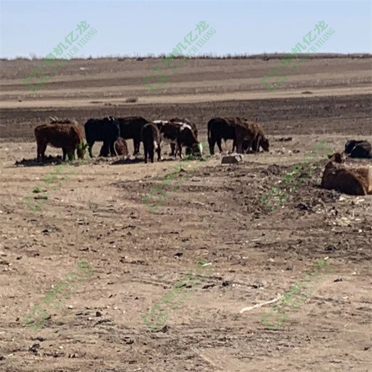 JDB����(�й���)���ٷ���վ