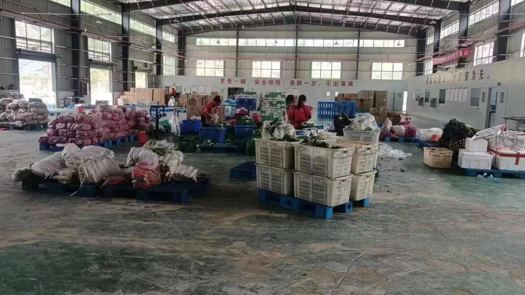 JDB����(�й���)���ٷ���վ