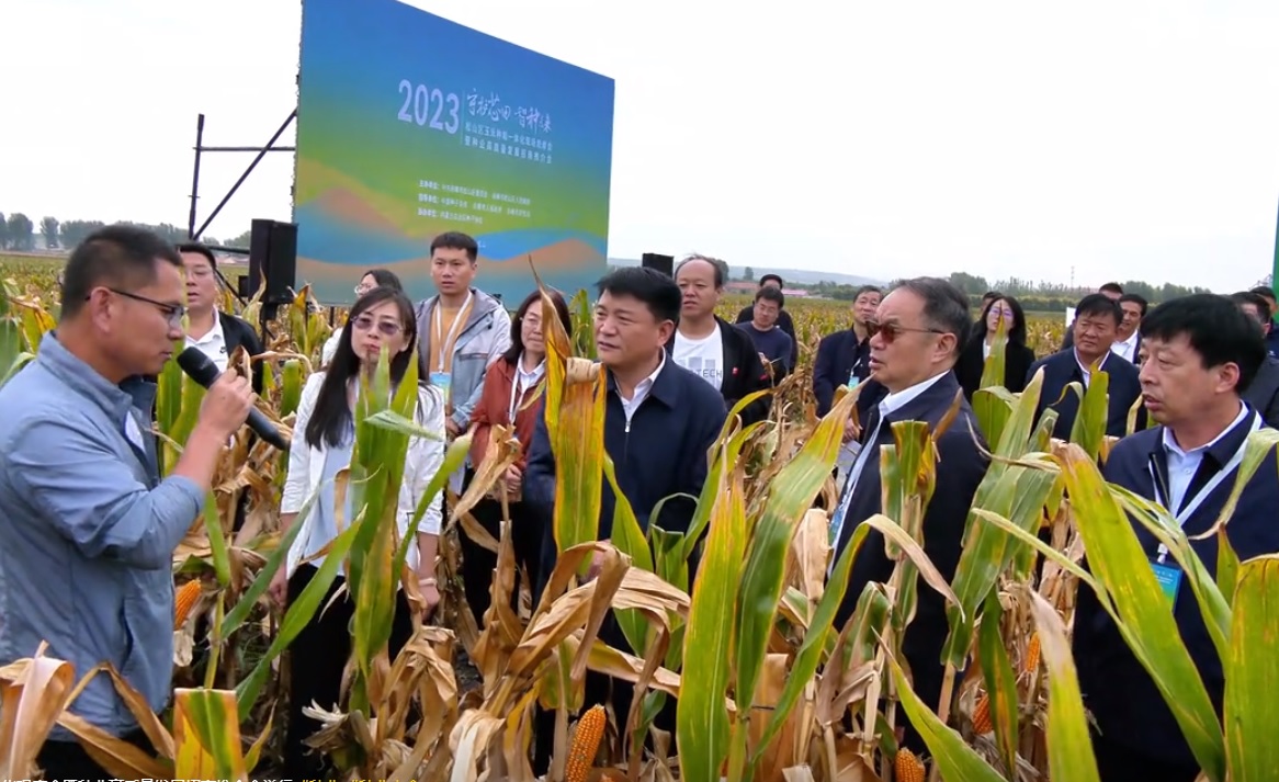 JDB����(�й���)���ٷ���վ