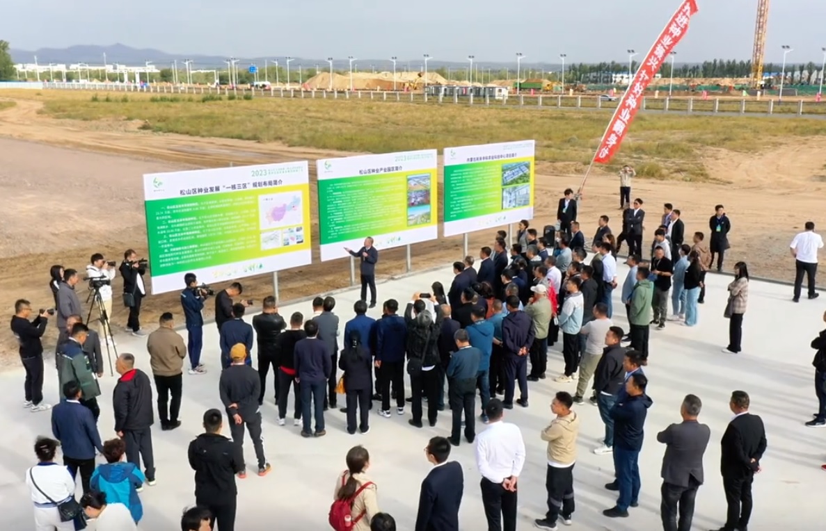 JDB����(�й���)���ٷ���վ