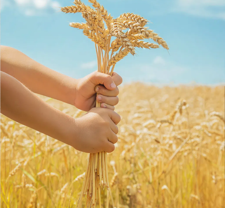 JDB����(�й���)���ٷ���վ