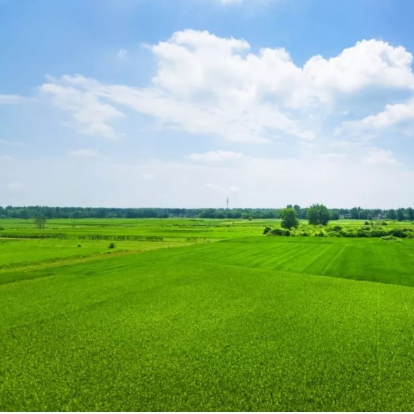 JDB����(�й���)���ٷ���վ