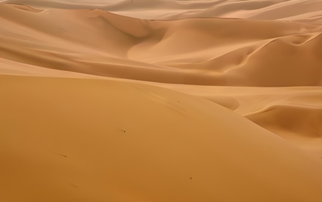 JDB����(�й���)���ٷ���վ