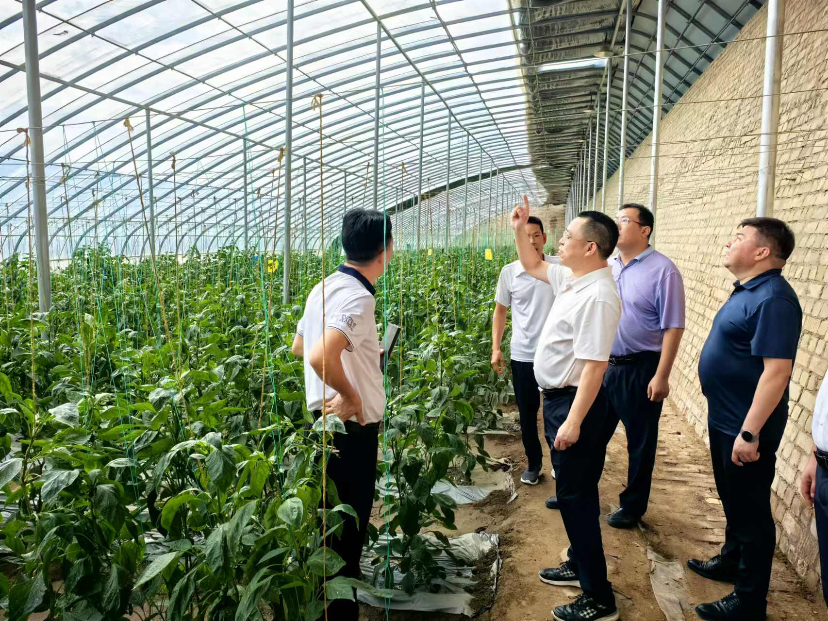 JDB����(�й���)���ٷ���վ