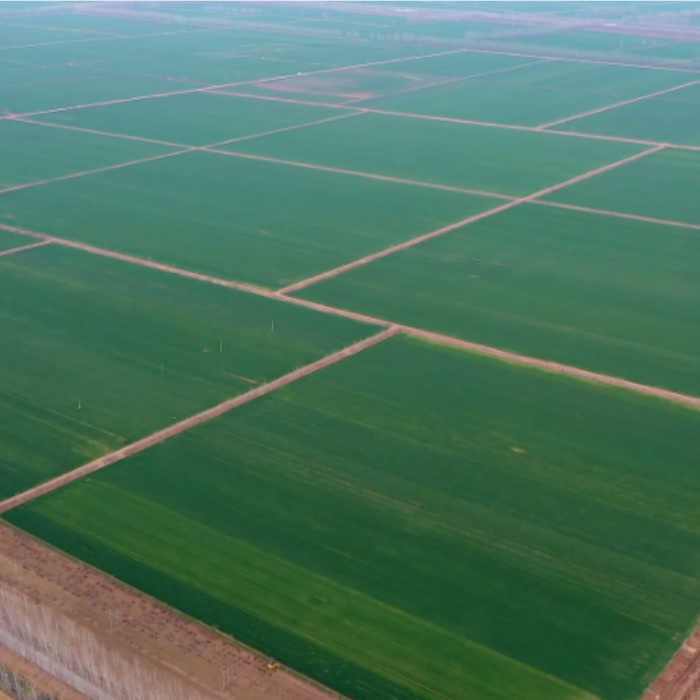 JDB����(�й���)���ٷ���վ