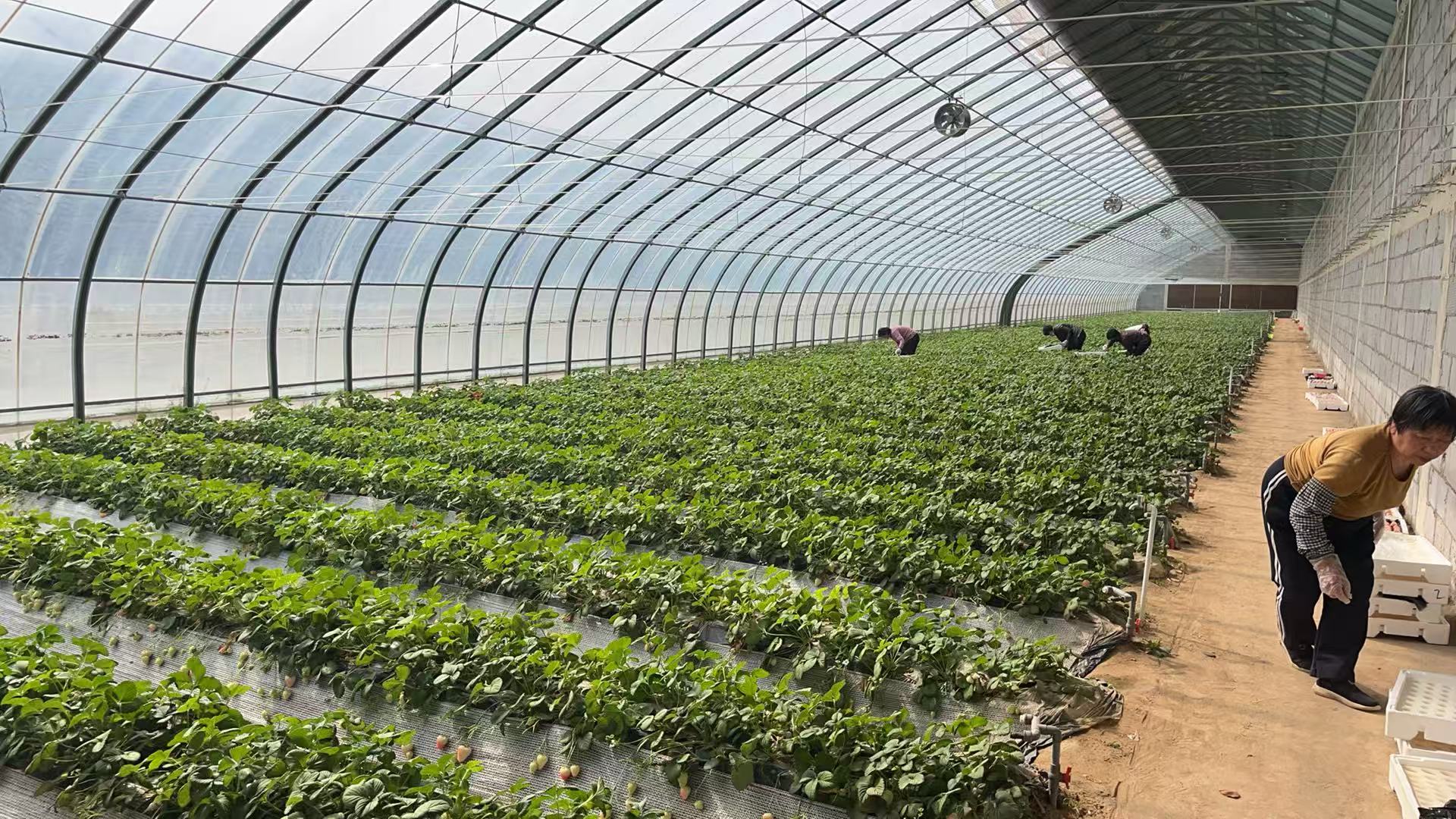 JDB����(�й���)���ٷ���վ