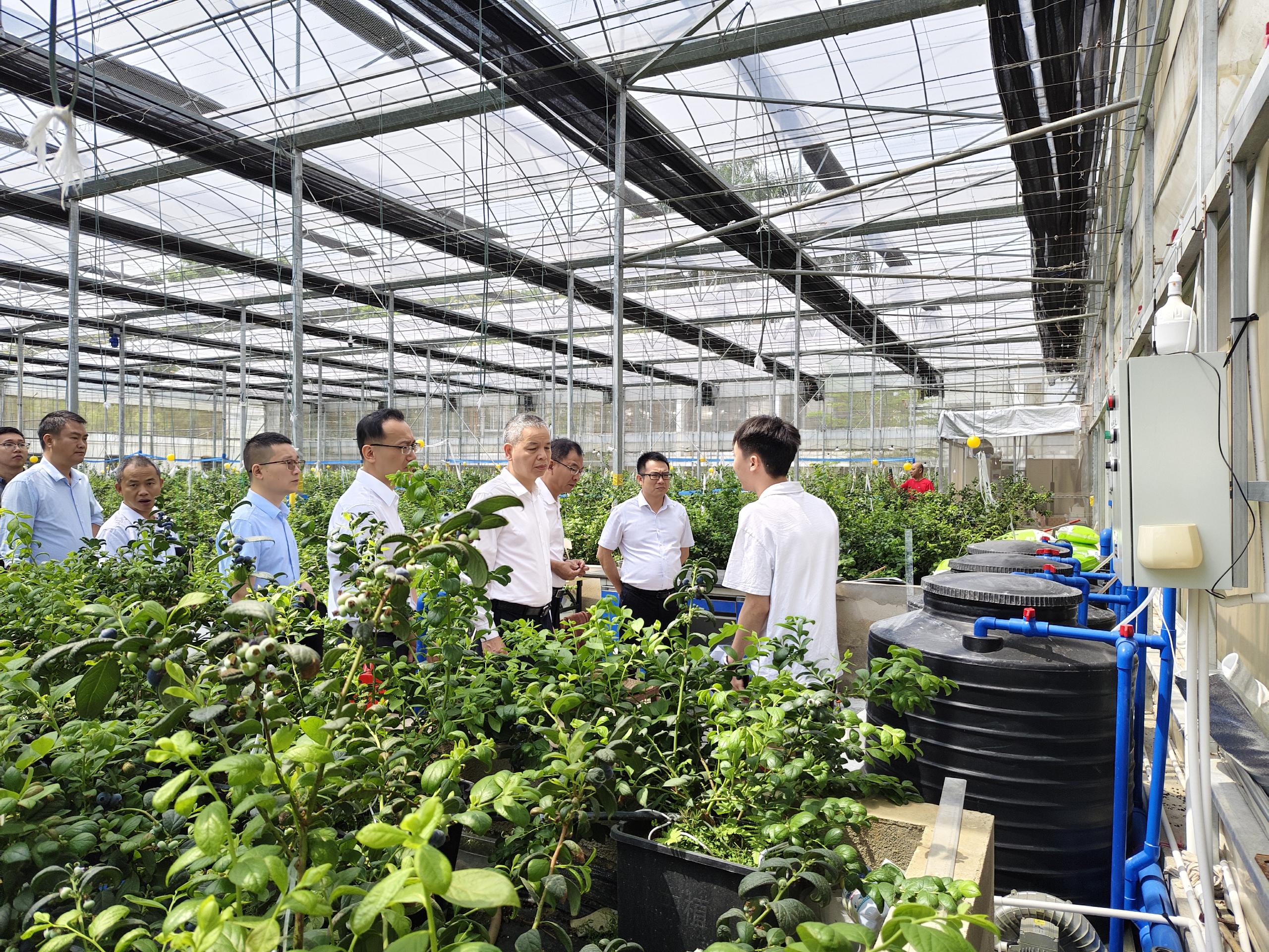 JDB����(�й���)���ٷ���վ