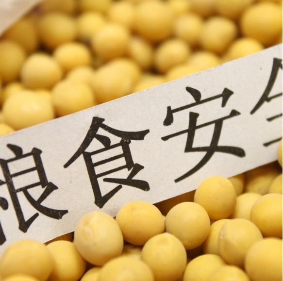 JDB����(�й���)���ٷ���վ