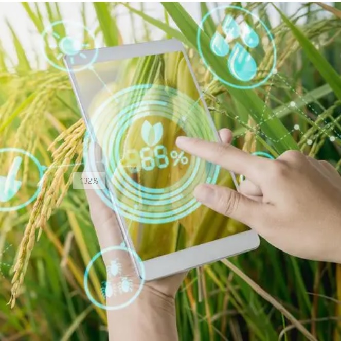 JDB����(�й���)���ٷ���վ