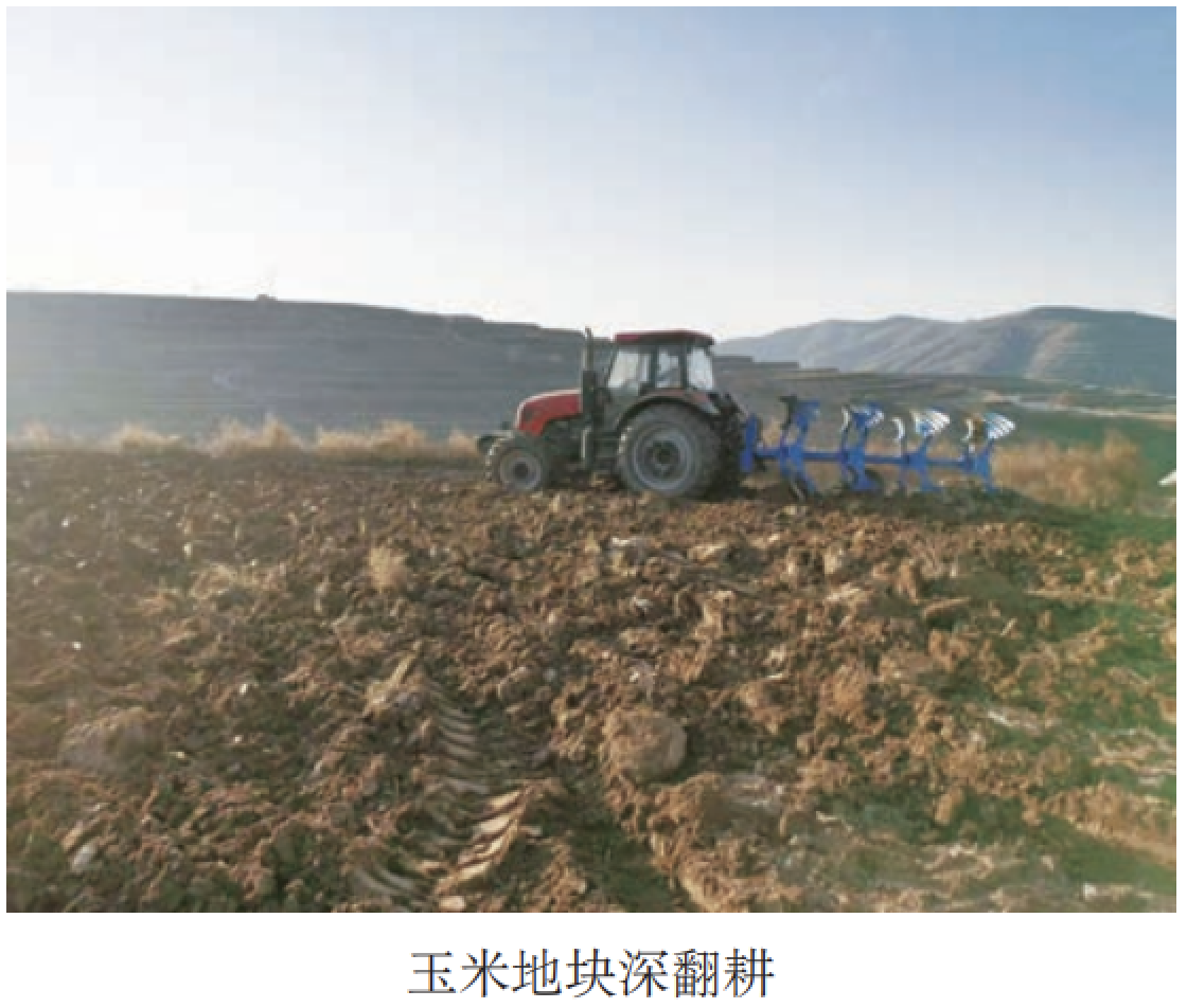 JDB����(�й���)���ٷ���վ