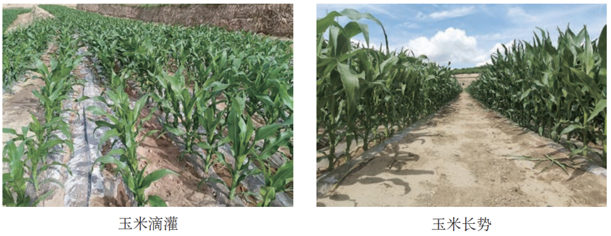 JDB����(�й���)���ٷ���վ