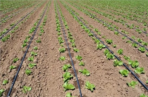 JDB����(�й���)���ٷ���վ