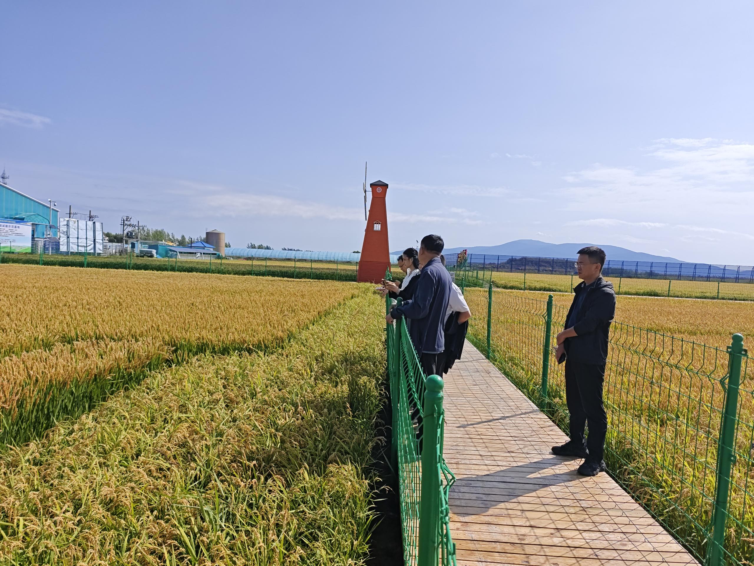 JDB����(�й���)���ٷ���վ